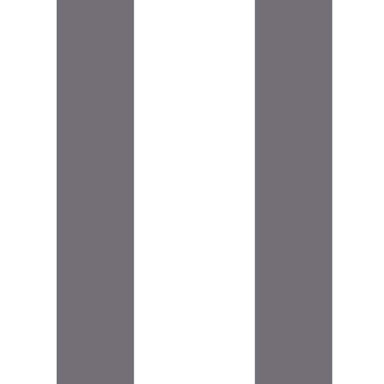 Blanc / anthracite • 572-50489C